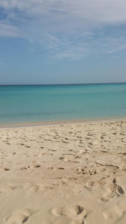 Il Peperoncino Appartement San Vito Lo Capo Buitenkant foto